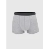 LC WAIKIKI Gri Standart Kalıp Pamuklu Esnek Erkek Boxer 3lü
