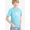 Defacto E0081A8TR248 Turkuaz Bisiklet Yaka Baskılı Kısa Kollu Tişört Erkek Çocuk
