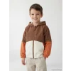 LCW Kids Kahverengi Kapüşonlu Renk Bloklu Erkek Çocuk Mont