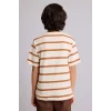 Defacto D7864A8BN301 Kahve Çizgili Tişört Erkek Çocuk
