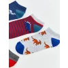 LCW Kids Karışık Desenli Erkek Çocuk Patik Çorap 5li