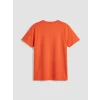 LCW Kids Turuncu Baskılı Erkek Çocuk Tişört