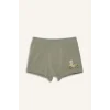 Defacto G8559A8GN425 Yeşil Ayı Baskılı Penye 3lü Boxer Erkek Çocuk