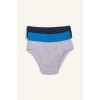 Defacto G8560A8BE513 Mavi Penye 3lü Slip Külot Erkek Çocuk