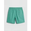 LCW SWIMWEAR Turkuaz Kısa Boy Erkek Deniz Şortu