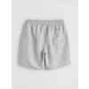 LCW SWIMWEAR Gri Kısa Boy Erkek Deniz Şortu