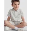 LCW Kids Gri Dinozor Baskılı Erkek Çocuk Tişört ve Şort