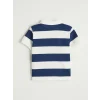 LCW Kids İndigo Polo Yaka Çizgili Erkek Çocuk Tişört