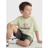 LCW Kids Yeşil Bisiklet Yaka Minecraft Baskılı Erkek Çocuk Tişört