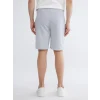 XSIDE Gri Standart Kalıp Erkek Şort