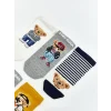 LCW Kids Karışık Ayı Teddy Desenli Erkek Çocuk Patik Çorap 5li