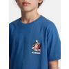 LCW Kids Mavi Nostaljik Maymun Baskılı Erkek Çocuk Tişört