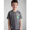 LCW Kids Gri Minecraft Baskılı Erkek Çocuk Tişört