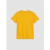 LCW Kids Turuncu Galatasaray Baskılı Erkek Çocuk Şortlu Pijama Takımı
