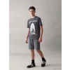 LCW Kids Gri Bisiklet Yaka Baskılı Erkek Çocuk Tişört