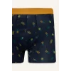 Defacto G8597AXNV135 Lacivert Regular Fıt Meyve Desenli 3lü Boxer Set