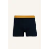 Defacto G8597AXNV135 Lacivert Regular Fıt Meyve Desenli 3lü Boxer Set