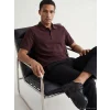 LCW Vision Mürdüm Polo Yaka Çizgili Erkek Tişört