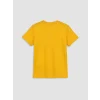 LCW Kids Turuncu Galatasaray Baskılı Erkek Çocuk Şortlu Pijama Takımı