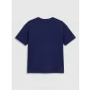 LCW Kids Lacivert Soft Touch Kız Çocuk Tişört ve Tayt