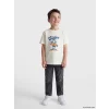 LCW Kids Bej Bisiklet Yaka Baskılı Erkek Çocuk Tişört