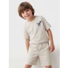LCW Kids Gri Dinozor Baskılı Erkek Çocuk Tişört ve Şort Takım