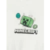 LCW Kids Beyaz Bisiklet Yaka Minecraft Baskılı Erkek Çocuk Tişört