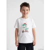 LCW Kids Beyaz Bisiklet Yaka Baskılı Erkek Çocuk Tişört