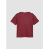 LCW Kids Bordo Bisiklet Yaka Baskılı Kız Çocuk Tişört