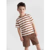 LCW Kids Kahverengi Bisiklet Yaka Çizgili Erkek Çocuk Tişört