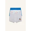 Defacto C2901A8BE43 Mavi Paw Patrol Lisanslı Desenli 3lü Mavi Boxer Erkek Çocuk