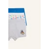 Defacto C2901A8BE43 Mavi Paw Patrol Lisanslı Desenli 3lü Mavi Boxer Erkek Çocuk