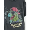 LCW Kids Antrasit Baskılı Erkek Çocuk Şortlu Takım