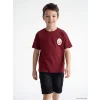LCW Kids Kırmızı Galatasaray Baskılı Erkek Çocuk Tişört