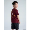 LCW Kids Kırmızı Galatasaray Baskılı Erkek Çocuk Tişört