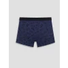 LC WAIKIKI Gri Pamuklu Esnek Erkek Boxer 3lü
