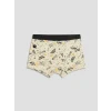 LCW Kids Gri Erkek Çocuk 3lü Boxer