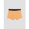 LCW Kids Gri Erkek Çocuk 3lü Boxer