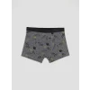LCW Kids Gri Erkek Çocuk 3lü Boxer