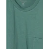 LC WAIKIKI Yeşil Regular Fit Erkek Pijama Takım