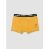 LCW Kids Sarı Pokemon Baskılı Erkek Çocuk Boxer 3lü