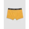 LCW Kids Sarı Pokemon Baskılı Erkek Çocuk Boxer 3lü