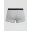 LC WAIKIKI Siyah Standart Kalıp Erkek Boxer 3lü