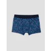 LCW Kids Mavi Erkek Çocuk 3lü Boxer