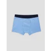 LCW Kids Mavi Erkek Çocuk 3lü Boxer