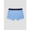 LCW Kids Mavi Erkek Çocuk 3lü Boxer