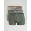 LC WAIKIKI Yeşil Standart Kalıp Pamuklu Esnek Erkek Boxer 3lü