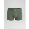 LC WAIKIKI Yeşil Standart Kalıp Pamuklu Esnek Erkek Boxer 3lü