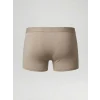 LC WAIKIKI Yeşil Standart Kalıp Pamuklu Esnek Erkek Boxer 3lü