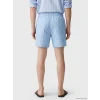 LCW SWIMWEAR Mavi Kısa Boy Çizgili Erkek Deniz Şortu
